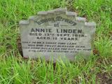 image number CIMG1769
